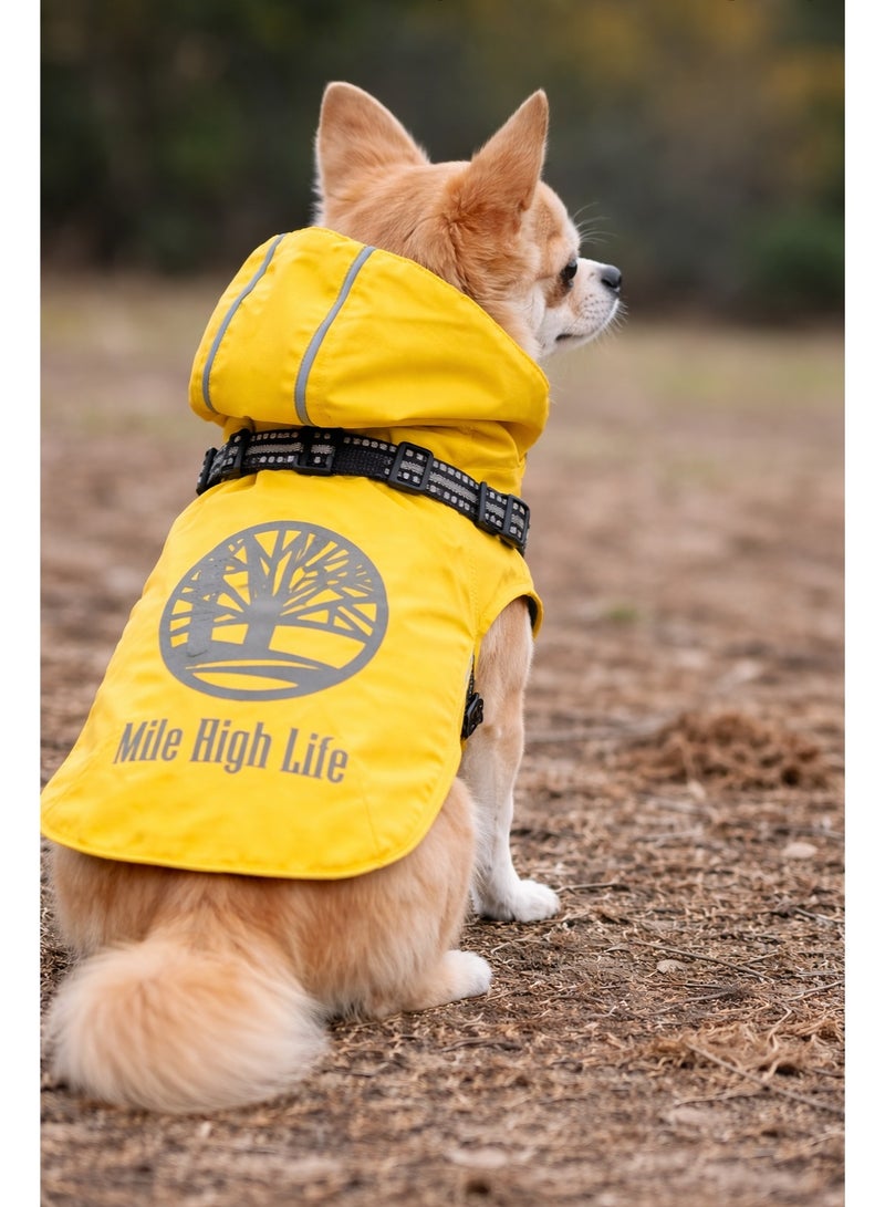 Waterproof Pet Jacket, XS Size, for Small Breeds up to 2.5kg, Reflective Trim - Image 2